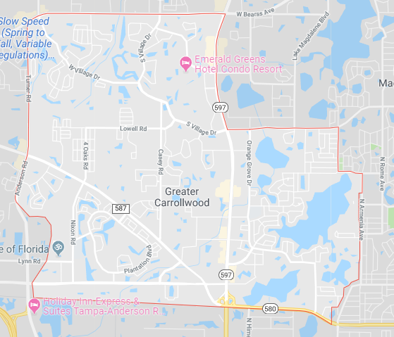Carrollwood Computer Repair near me tampa map